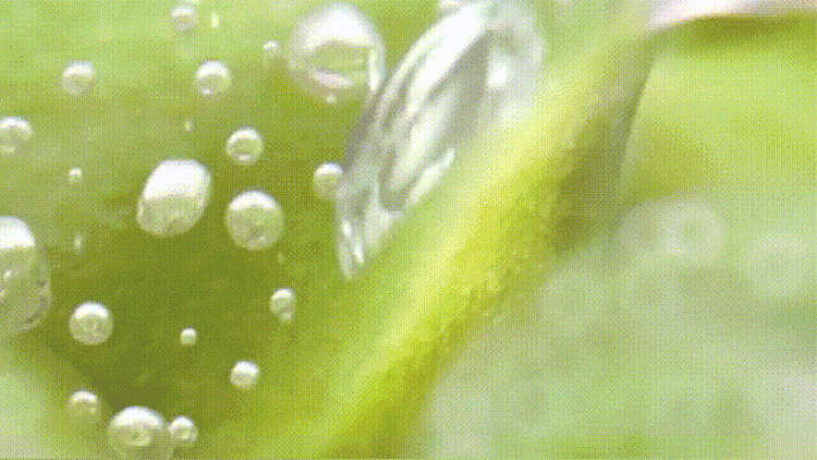 ab8c25eb54bbf8b87deb0e8e7ea77ae1.gif